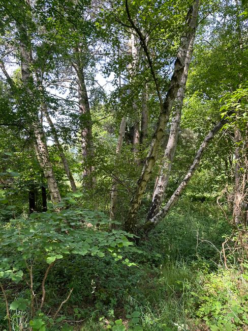 Sneppevej 3B, Overby Lyng, 4583 Sjællands Odde